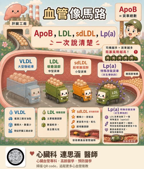 膽固醇報告看不懂？把它想成一條馬路