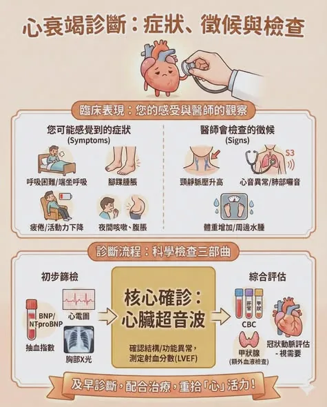 心衰竭診斷：症狀、徵候與檢查三部曲