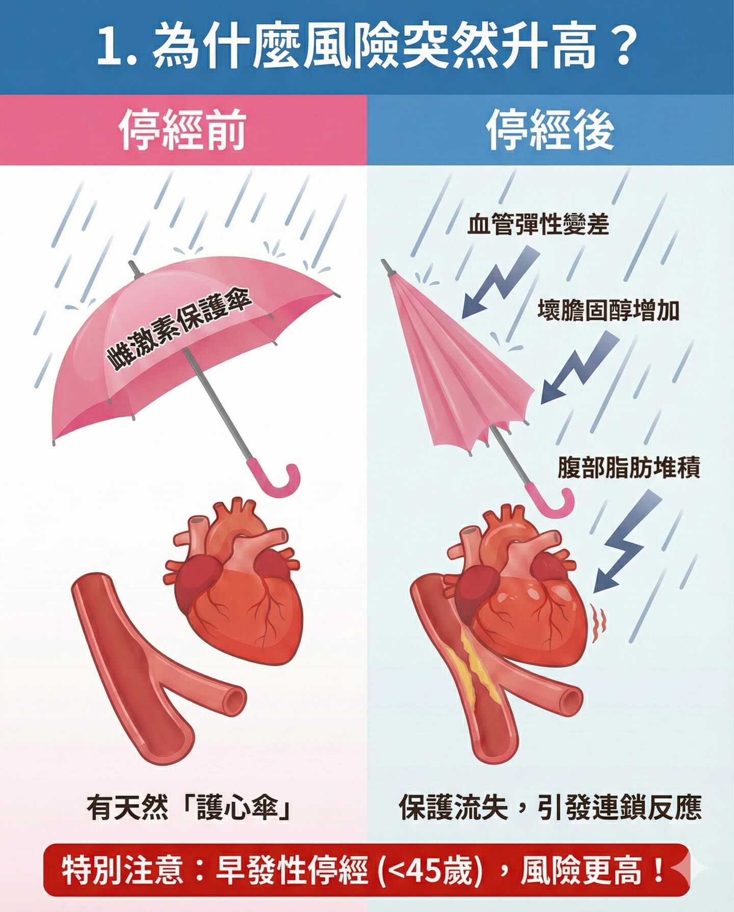 為什麼風險突然升高?停經前 vs 停經後